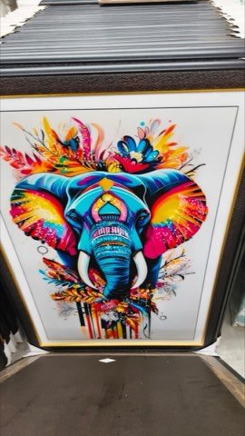 Vibrant multicolour elephant wall art painting